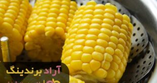 ذرت شیرین خانگی